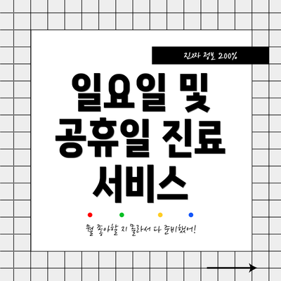 일요일 및 공휴일 진료 서비스