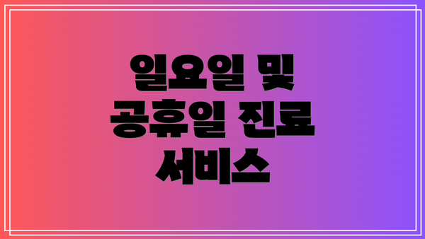 일요일 및 공휴일 진료 서비스