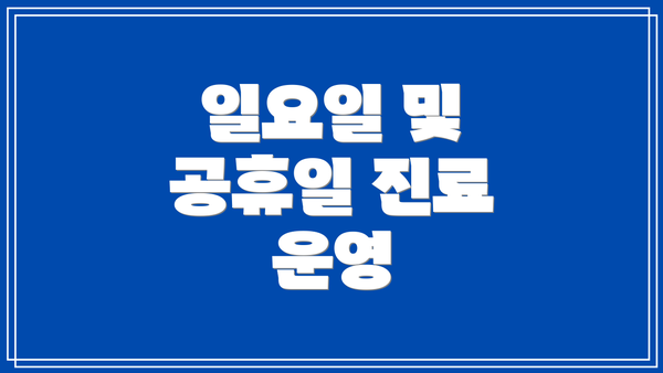 일요일 및 공휴일 진료 운영