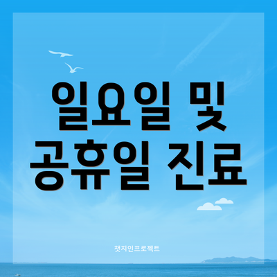 일요일 및 공휴일 진료