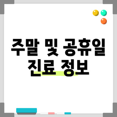 주말 및 공휴일 진료 정보