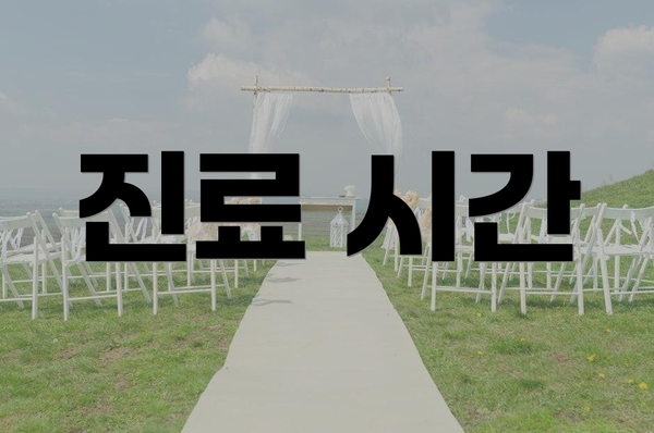 진료 시간