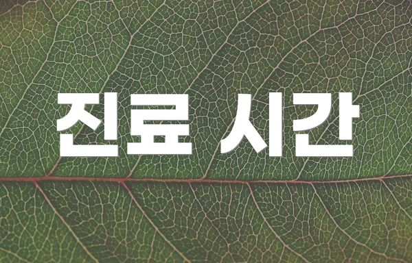 진료 시간