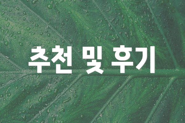 추천 및 후기