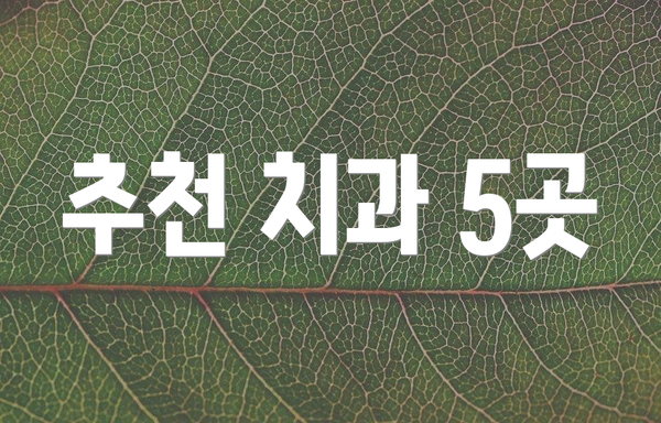 추천 치과 5곳