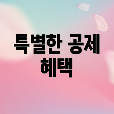 특별한 공제 혜택