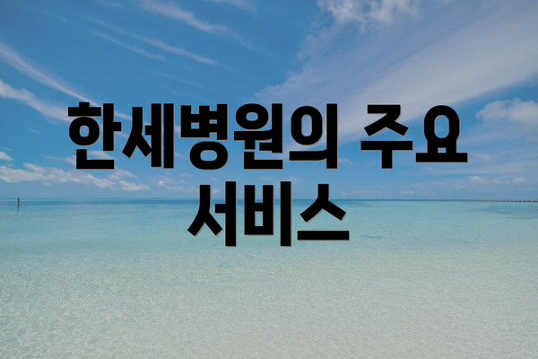 한세병원의 주요 서비스