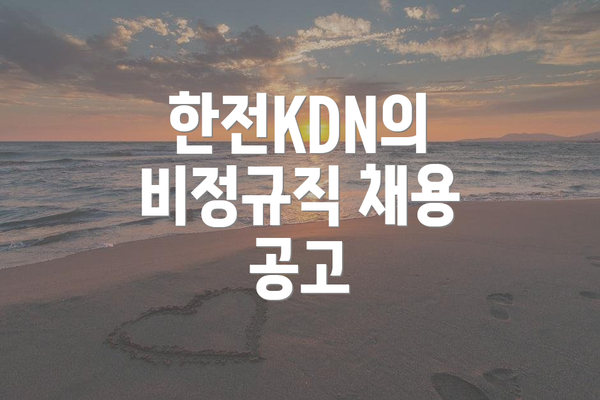 한전KDN의 비정규직 채용 공고