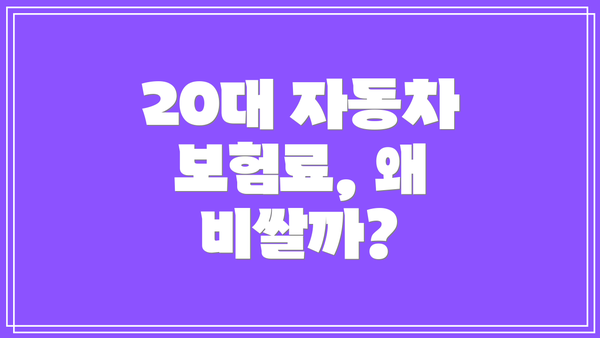 20대 자동차 보험료, 왜 비쌀까?