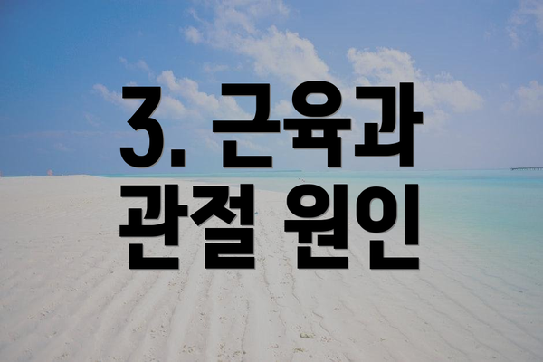 3. 근육과 관절 원인
