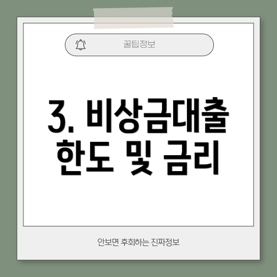 3. 비상금대출 한도 및 금리