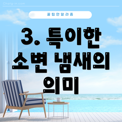 3. 특이한 소변 냄새의 의미
