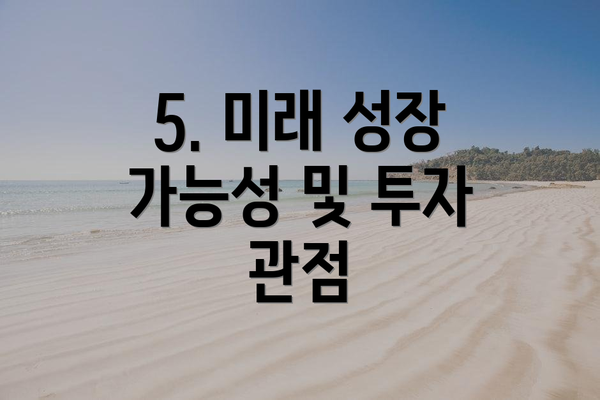 5. 미래 성장 가능성 및 투자 관점