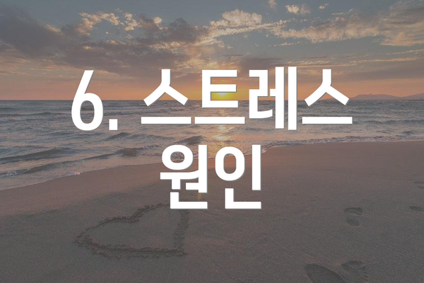 6. 스트레스 원인