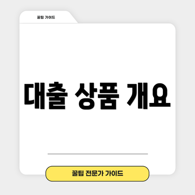 대출 상품 개요